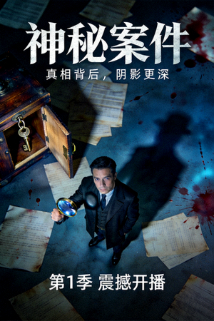 欧美悬疑剧《神秘案件》剧集海报